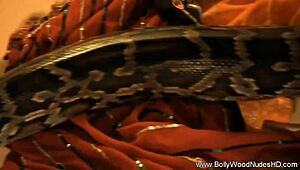 brunette indian beauty strips teasing erotically undressing nude