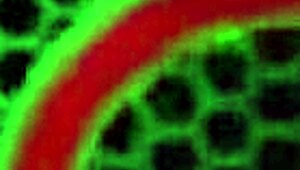 Busty Sara Jay joins three sluts for sloppy foursome on one huge cock