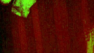 wanna see my wet little redhead oiled up and ready?