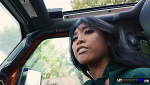 agent ember snow... she's uh finally makin my wildest client dream real