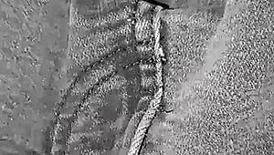 Italian Pregnant Slut Always Heads to Bathroom for Naughty Secrets