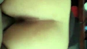 watch that thick fat ass bounce wild on huge black cock