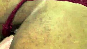 the moray eels have an intensity in the look that captivates me