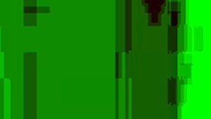 Girls Lick Feet And Slurp Wet Pussies!