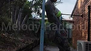 melody radford twerks huge ass in micro bikini pole dancing leak