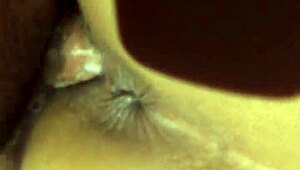 my wife gets wild with swingers in steamy group fun sharing everything