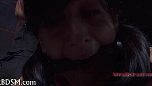 ever wondered what bizarre s&m extremes look like up close?