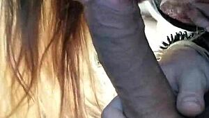 is this big ass cheating thot sucking cock in car?