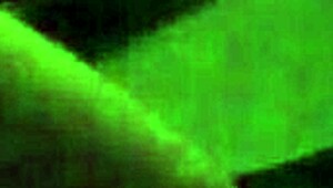 wanna watch blonde teen suck cock in hot pov blowjob?