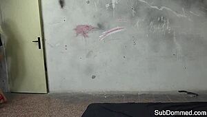 Dominated Euro Bound Choked Pussy Licked Hard