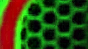 can this curvy blonde milf handle monster bbc in every hole?