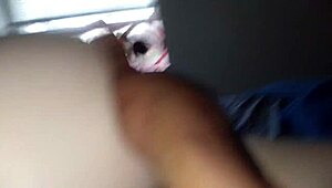 oh god this lil white bunny sucks bbc n squirts tryna get creampied bad.