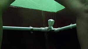 close up tongue diving into wet shaved pussy lips for intense licking pleasure