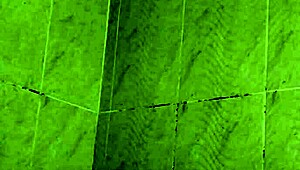 little college teen sneaks a shower masturbate but roommate catches her dripping wet