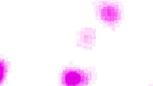 Whoa, Lady Dee takes 4 white then 4 black cocks balls deep in anal DAP gapes! 😱🔥