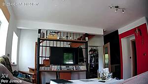 Petr Jirmus Captures Spycam Moments Aug 17 2025