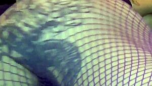 kyoho grapes season four features international amateurs