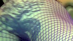 kyoho grapes season four features international amateurs