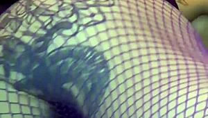 kyoho grapes season four features international amateurs