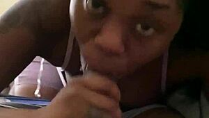 ebony amateur sucks big black cock real good