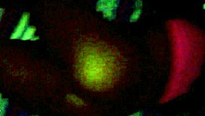 Gaping Ebony Teen 18+ Pussy Stretched Wide by Massive Black Monster Cock in Hood