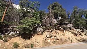 blonde athlete meets stud in sequoias for outdoor pov fucking with big cock