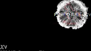 horny milf sucks big cock through gloryhole begs for creampie finish