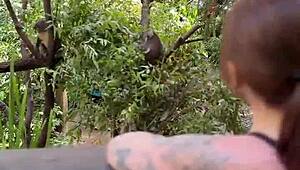 i'm lovin this real australian slut jade harper deepthroating my huge cock and gettin fucked rough in her juicy wet pussy