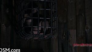 electro bdsm castigation pushes limits hard