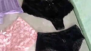 check out my wild collection of 72 panties shemale style
