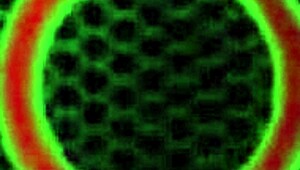 sara jay grabs her big ass tits and dildo gets super horny solo play