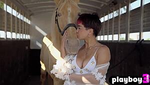 hey mia valentine's curvy figure and assets steal the show