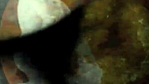 Vintage scenes capture retro hairy erotic moments in detail