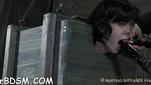 wanna see this bound cunt get punished in a sadomasochism branding contest?