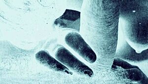 Vintage scenes capture retro hairy erotic moments in detail