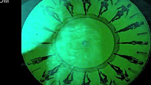 Vintage scenes capture retro hairy erotic moments in detail