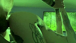 morning quickie temptation: blowjob into doggystyle bliss