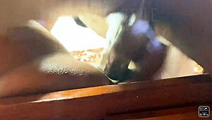 School principal bends head girl over desk for intense doggystyle pussy pounding