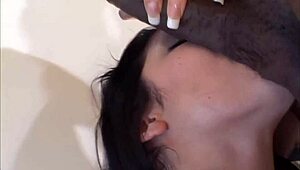 Sexy goth latina Soma deepthroats swallows huge black cock lover?