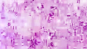 imagine this big tits big ass college babe tries halloween lingerie then gets monster cock slutted