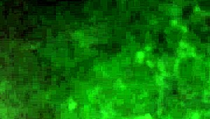 Amateur solo sport babe runs naked outdoors flashing ass and tits