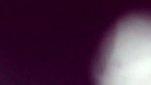 hairy beaver splashing wet