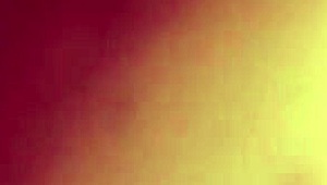 the macro lens captures every detail of intense doggy style thrusting up close