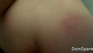 thai big ass slut screams under hard doggy