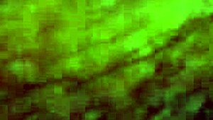 Who's rubbing that fat clit rough till she squirts everywhere?