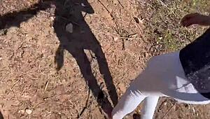 WOW! Big Tits Girlfriend Gets Clothes Ripped Off and Fucked Roughly in Gym by Biker!