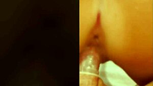 fit kitty pounds stranger doggystyle from street? 