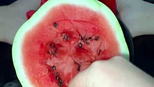 watermelon in her tight pussy triggers wild arab squirts in la