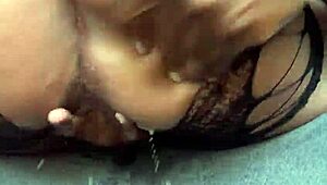 Thick curly lightskin babe bounces big ass back steadily