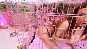 salome the feral french whore begs for cum in pink room ep 26